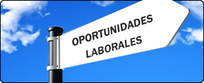 Acerca de Ferroresonantes